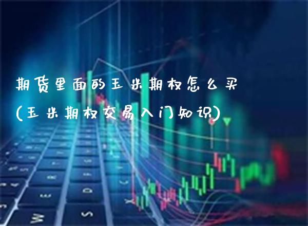 期货里面的玉米期权怎么买(玉米期权交易入门知识)_https://www.boyangwujin.com_期货开户_第1张