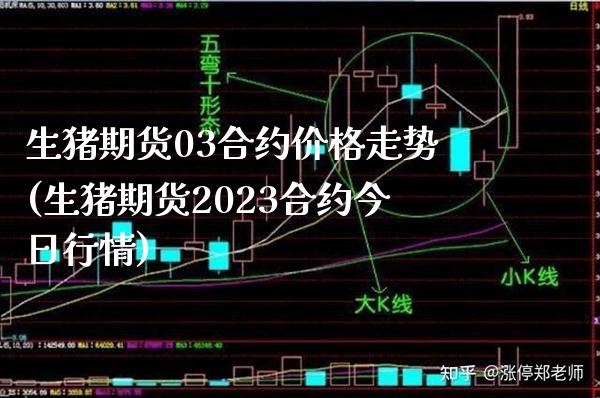 生猪期货03合约价格走势(生猪期货2023合约今日行情)_https://www.boyangwujin.com_期货直播间_第1张