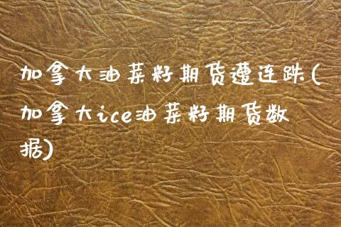 加拿大油菜籽期货遭连跌(加拿大ice油菜籽期货数据)_https://www.boyangwujin.com_纳指期货_第1张