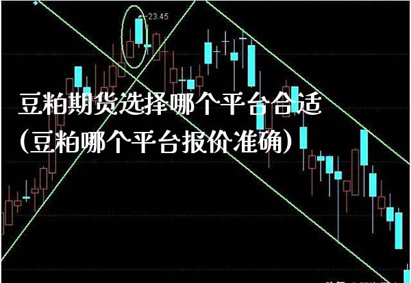 豆粕期货选择哪个平台合适(豆粕哪个平台报价准确)