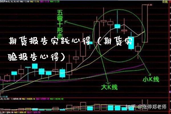 期货报告实践心得（期货实验报告心得）_https://www.boyangwujin.com_道指期货_第1张