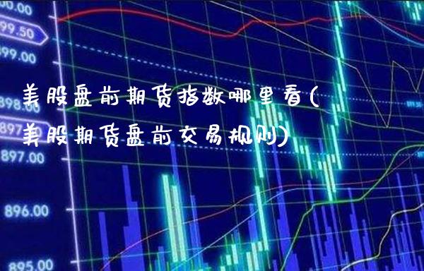 美股盘前期货指数哪里看(美股期货盘前交易规则)_https://www.boyangwujin.com_原油期货_第1张