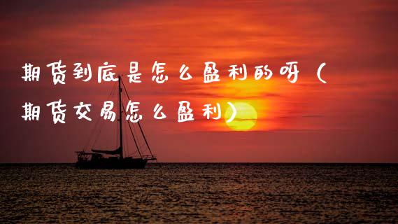 期货到底是怎么盈利的呀（期货交易怎么盈利）_https://www.boyangwujin.com_期货直播间_第1张