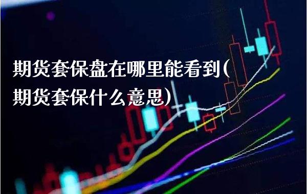 期货套保盘在哪里能看到(期货套保什么意思)