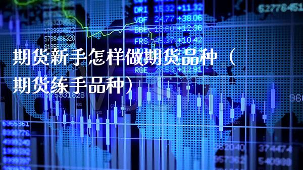 期货新手怎样做期货品种（期货练手品种）_https://www.boyangwujin.com_道指期货_第1张