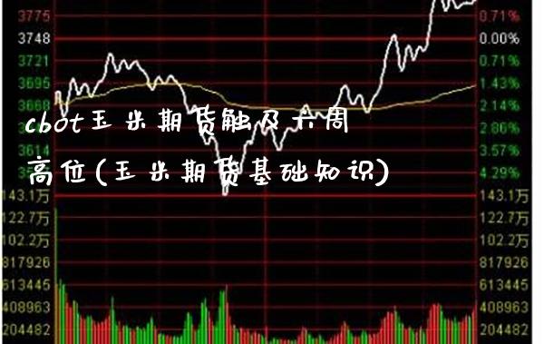 cbot玉米期货触及六周高位(玉米期货基础知识)
