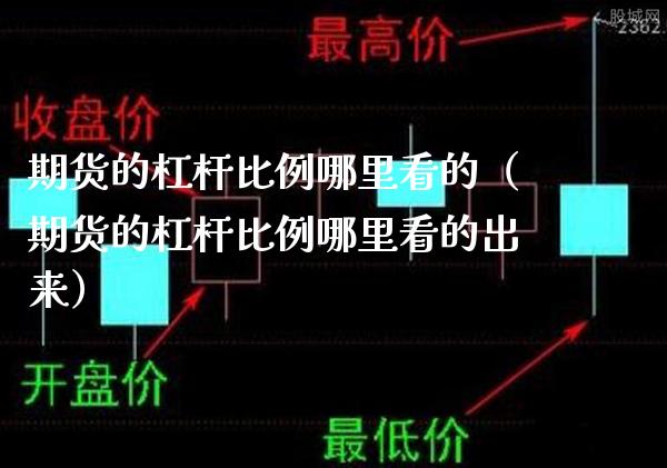 期货的杠杆比例哪里看的（期货的杠杆比例哪里看的出来）_https://www.boyangwujin.com_道指期货_第1张