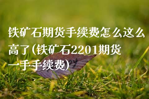铁矿石期货手续费怎么这么高了(铁矿石2201期货一手手续费)_https://www.boyangwujin.com_纳指期货_第1张