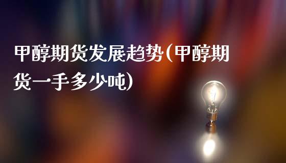 甲醇期货发展趋势(甲醇期货一手多少吨)_https://www.boyangwujin.com_内盘期货_第1张