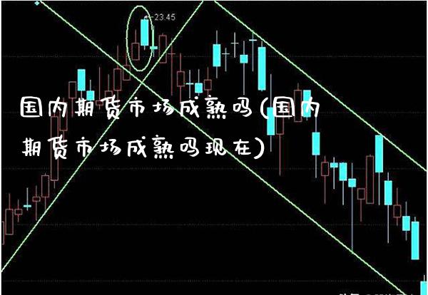 国内期货市场成熟吗(国内期货市场成熟吗现在)_https://www.boyangwujin.com_白银期货_第1张