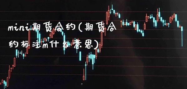 mini期货合约(期货合约标注m什么意思)