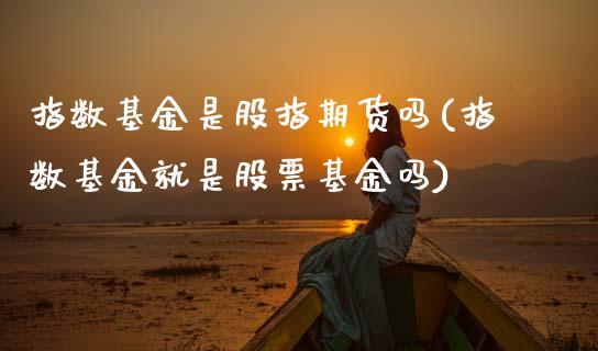 指数基金是股指期货吗(指数基金就是股票基金吗)_https://www.boyangwujin.com_恒生指数_第1张