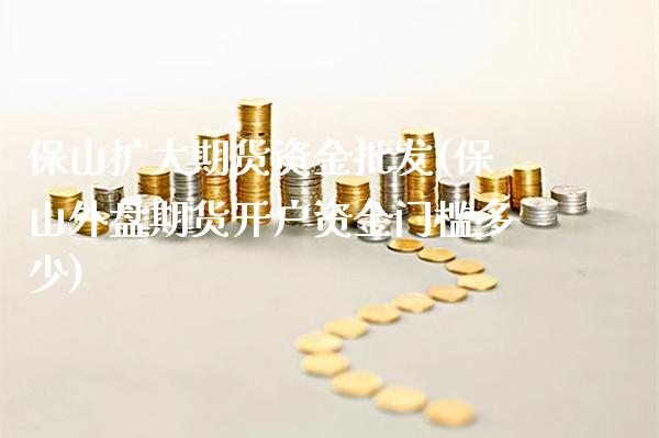 保山扩大期货资金批发(保山外盘期货开户资金门槛多少)