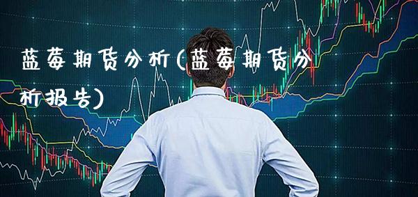 蓝莓期货分析(蓝莓期货分析报告)