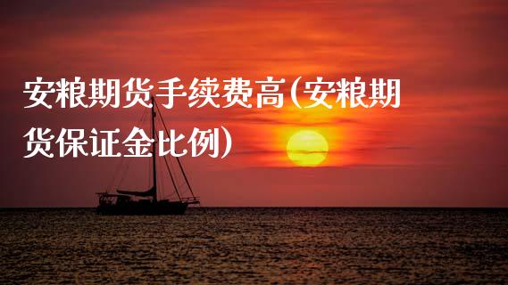 安粮期货手续费高(安粮期货保证金比例)