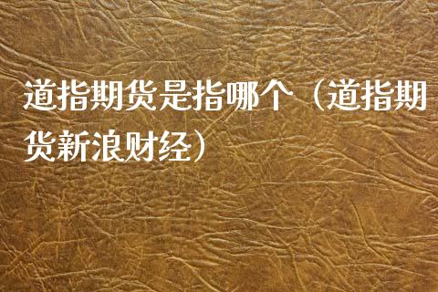 道指期货是指哪个（道指期货新浪财经）_https://www.boyangwujin.com_道指期货_第1张
