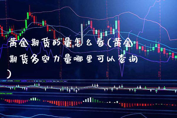 黄金期货的量怎么看(黄金期货多空力量哪里可以查询)_https://www.boyangwujin.com_纳指期货_第1张