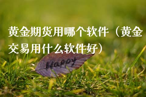 黄金期货用哪个软件（黄金交易用什么软件好）_https://www.boyangwujin.com_原油期货_第1张