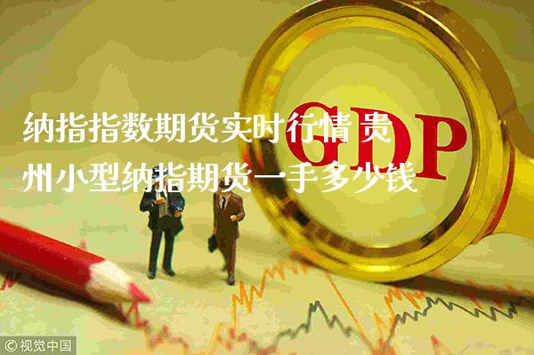 纳指指数期货实时行情 贵州小型纳指期货一手多少钱