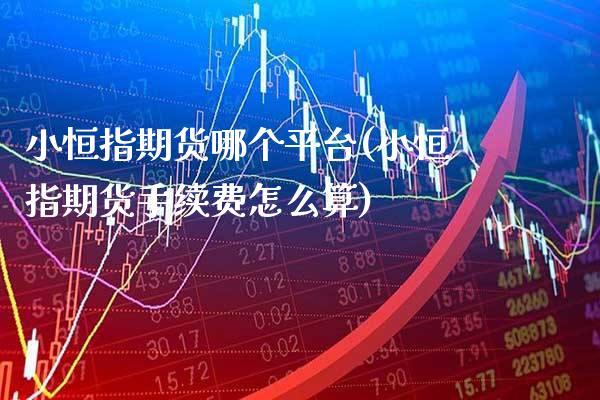 小恒指期货哪个平台(小恒指期货手续费怎么算)