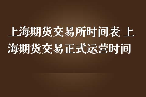 上海期货交易所时间表 上海期货交易正式运营时间_https://www.boyangwujin.com_期货直播间_第1张