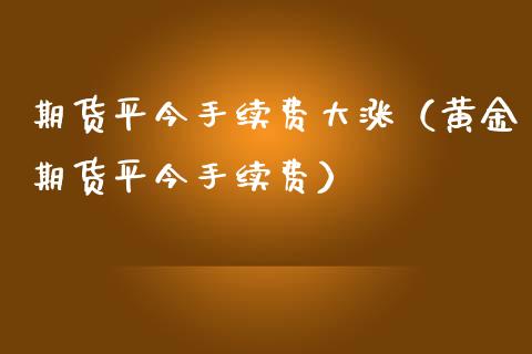 期货平今手续费大涨（黄金期货平今手续费）_https://www.boyangwujin.com_黄金期货_第1张