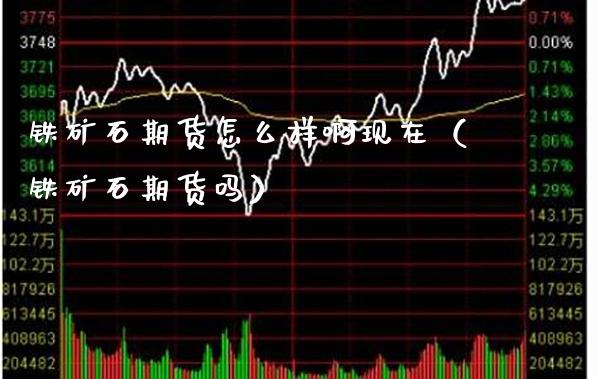 铁矿石期货怎么样啊现在（铁矿石期货吗）