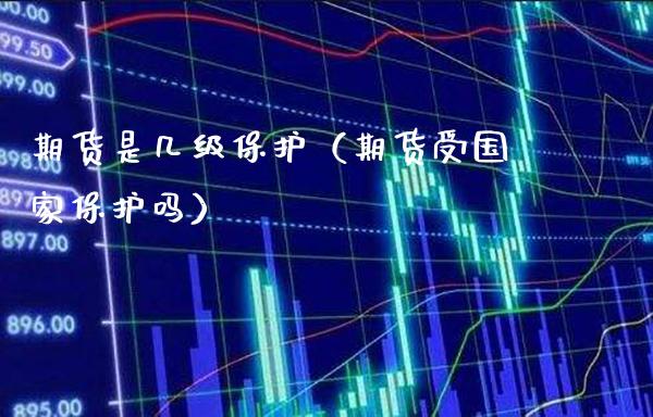 期货是几级保护（期货受国家保护吗）_https://www.boyangwujin.com_期货直播间_第1张