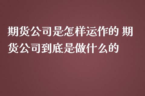 期货公司是怎样运作的 期货公司到底是做什么的_https://www.boyangwujin.com_期货直播间_第1张