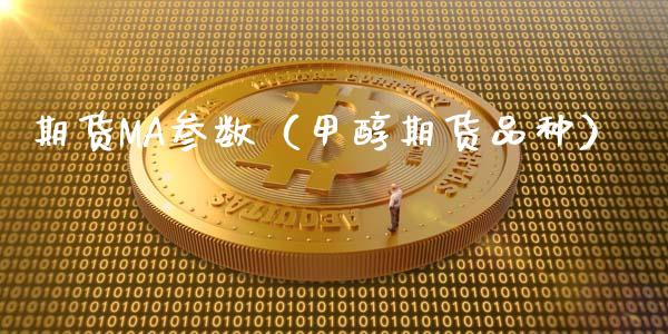 期货MA参数（甲醇期货品种）