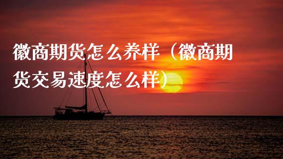 徽商期货怎么养样（徽商期货交易速度怎么样）_https://www.boyangwujin.com_期货直播间_第1张