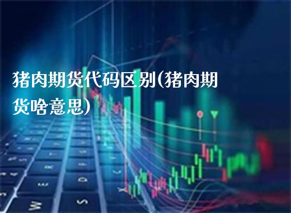 猪肉期货代码区别(猪肉期货啥意思)