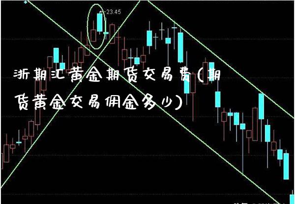浙期汇黄金期货交易费(期货黄金交易佣金多少)