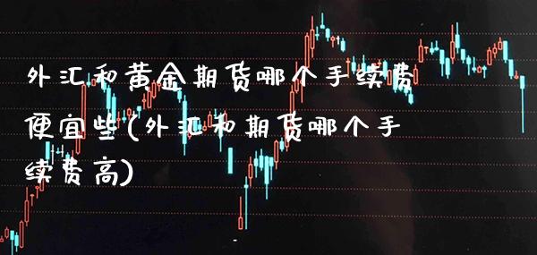外汇和黄金期货哪个手续费便宜些(外汇和期货哪个手续费高)_https://www.boyangwujin.com_道指期货_第1张