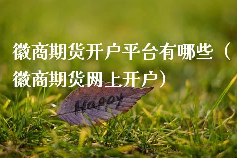 徽商期货开户平台有哪些（徽商期货网上开户）_https://www.boyangwujin.com_期货直播间_第1张