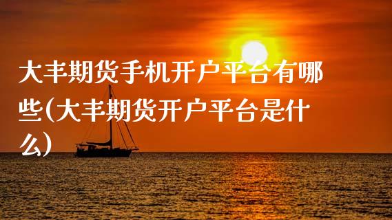 大丰期货手机开户平台有哪些(大丰期货开户平台是什么)_https://www.boyangwujin.com_期货开户_第1张