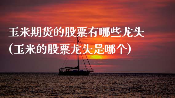 玉米期货的股票有哪些龙头(玉米的股票龙头是哪个)_https://www.boyangwujin.com_期货直播间_第1张