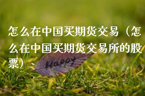 怎么在中国买期货交易（怎么在中国买期货交易所的股票）_https://www.boyangwujin.com_期货直播间_第1张