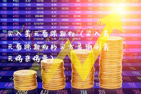买入美元看跌期权（买入美元看跌期权的买方是预测美元将来将要）