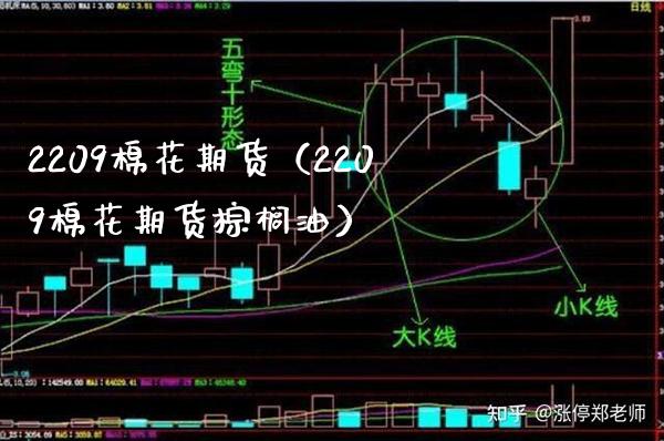 2209棉花期货（2209棉花期货棕榈油）