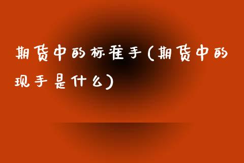 期货中的标准手(期货中的现手是什么)