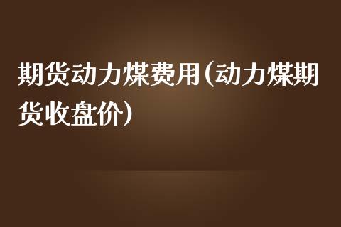 期货动力煤费用(动力煤期货收盘价)_https://www.boyangwujin.com_内盘期货_第1张