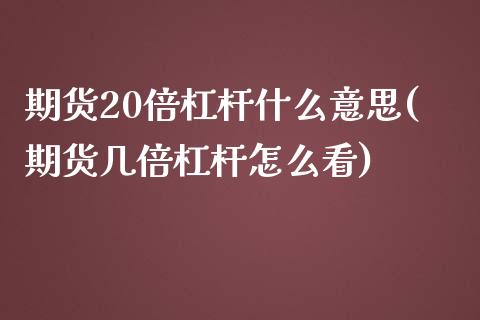 期货20倍杠杆什么意思(期货几倍杠杆怎么看)_https://www.boyangwujin.com_内盘期货_第1张