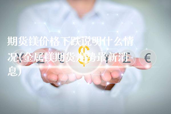 期货镁价格下跌说明什么情况(金属镁期货走势最新消息)