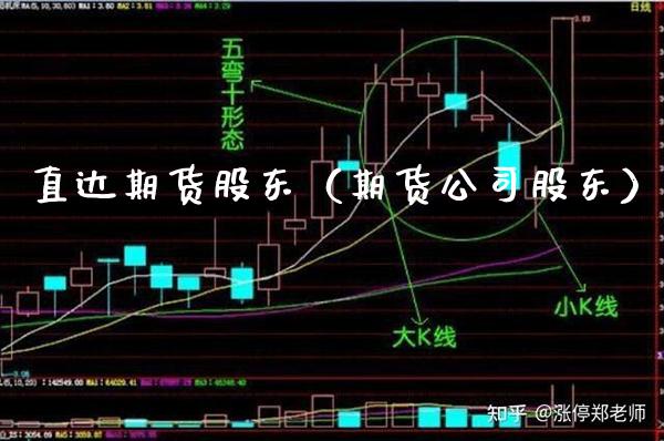 直达期货股东（期货公司股东）