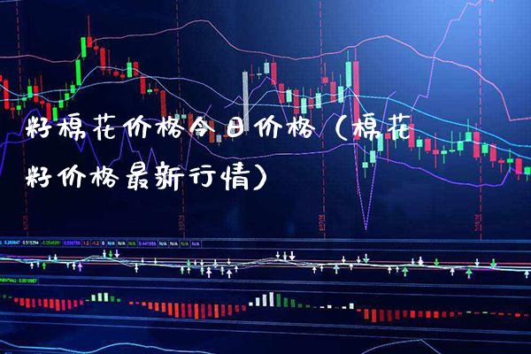 籽棉花价格今日价格（棉花籽价格最新行情）_https://www.boyangwujin.com_黄金期货_第1张