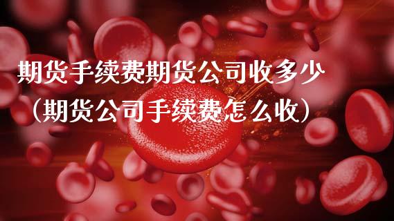 期货手续费期货公司收多少（期货公司手续费怎么收）_https://www.boyangwujin.com_期货直播间_第1张