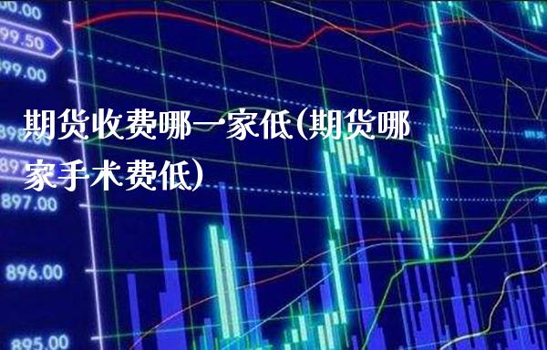 期货收费哪一家低(期货哪家手术费低)_https://www.boyangwujin.com_期货直播间_第1张