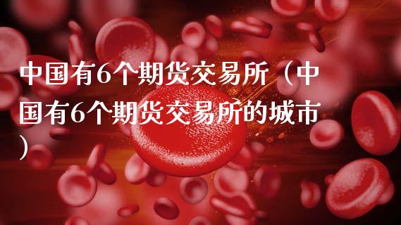 中国有6个期货交易所（中国有6个期货交易所的城市）_https://www.boyangwujin.com_道指期货_第1张