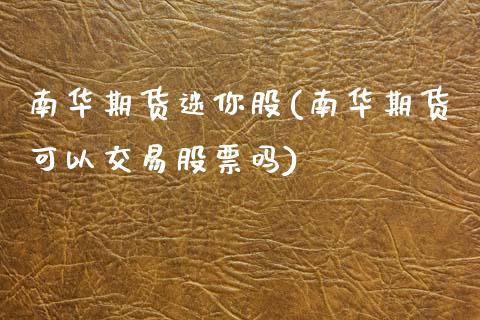 南华期货迷你股(南华期货可以交易股票吗)